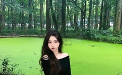 最新版天堂资源网在线种子